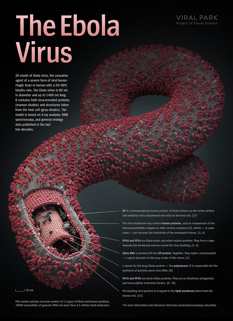 Ébola El virus sigue atacando en África Magnética 107.1 FM